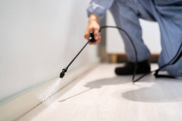 Licensed Cockroach Control service in Due West, SC - Nex Pest Control