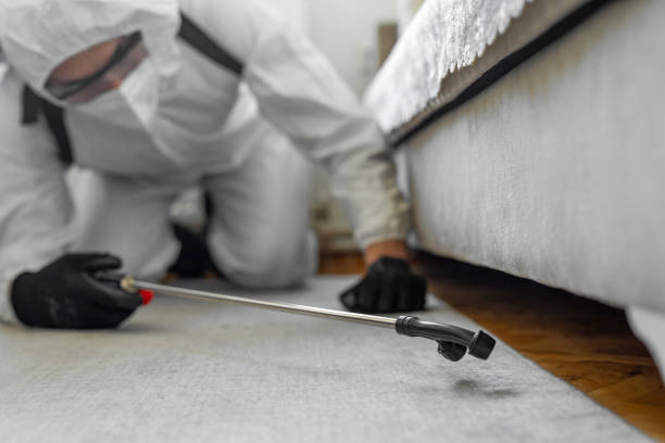 Professional Cockroach Control technician working in Due West, SC