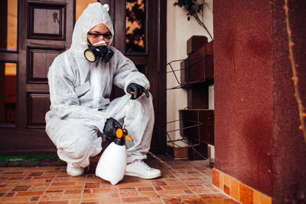 Reliable Cockroach Control contractor in Due West, SC by Nex Pest Control
