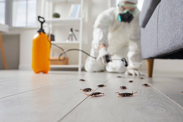 Affordable Cockroach Control solutions in Due West, SC