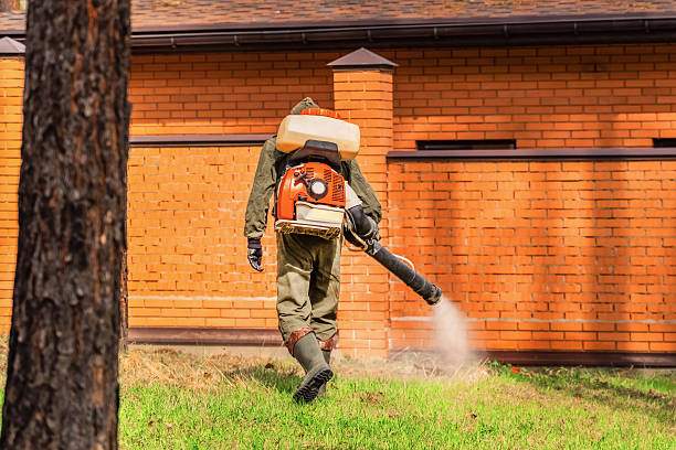 Top rated local Cockroach Control specialists in Due West, SC